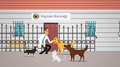 Yenimahalle Belediyesi